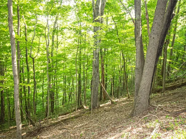 0 Eddy Ridge Rd, Wingett Run, OH 45789
