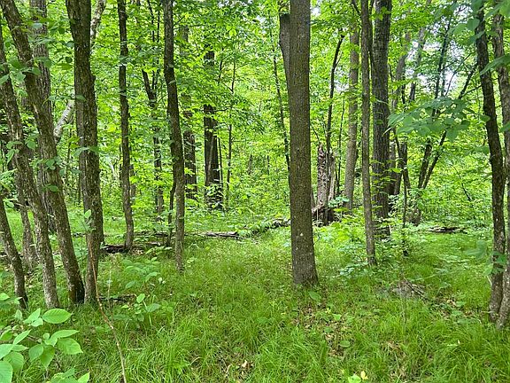 3rd image of County Road 16