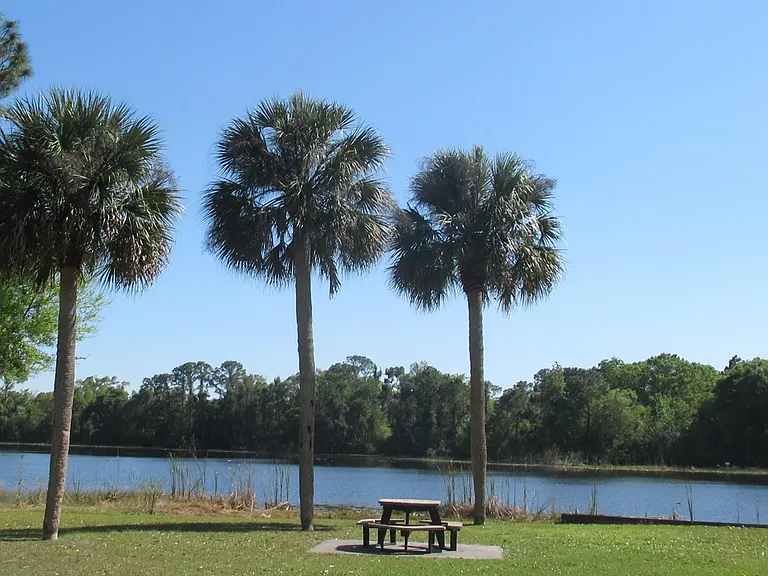 Our lakefront on Lake Catherine