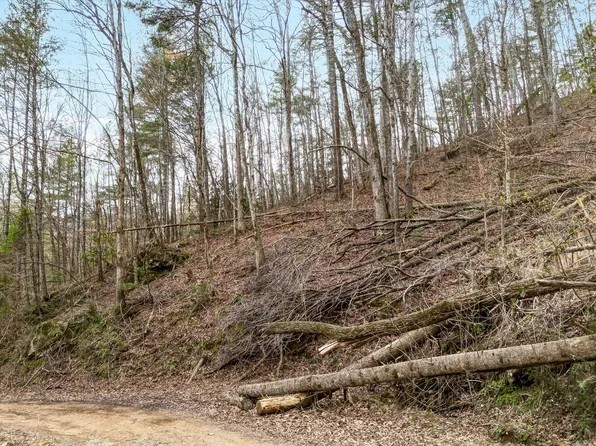 20 Meadow View Rd Lot 20, Sevierville, TN 37862