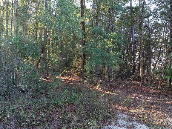 3rd image of LOT 16 280th Ter
