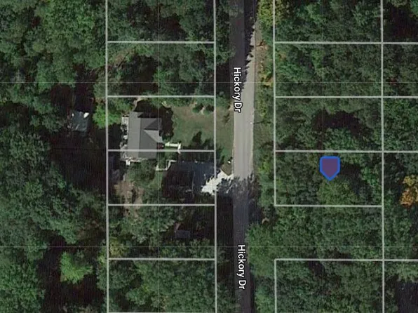 0 Hickory Dr, Lakeview, MI 48850