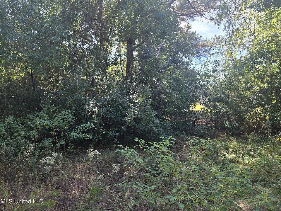 2nd image of 1033 Live Oak Dr