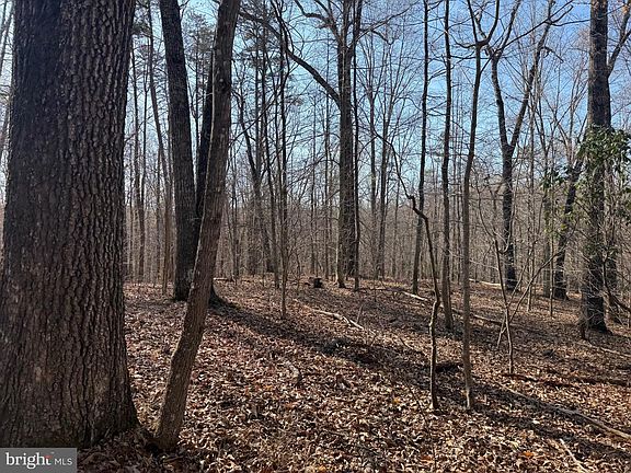 3rd image of 0 Paynes Pond Rd