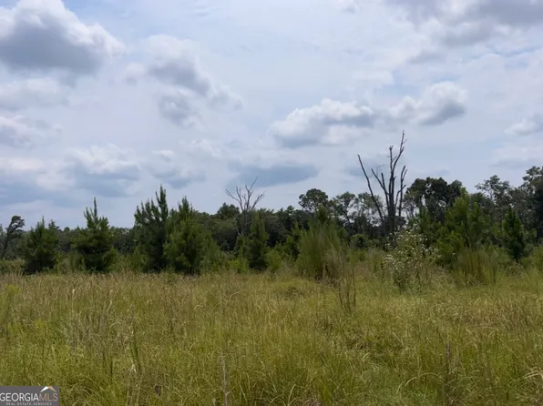 0 Rose Hollow Rd, Lyons, GA 30436