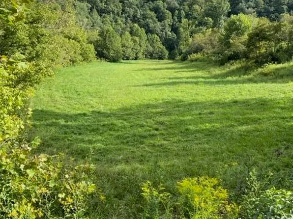 1 Dean Hollow Rd, Nickelsville, VA 24271