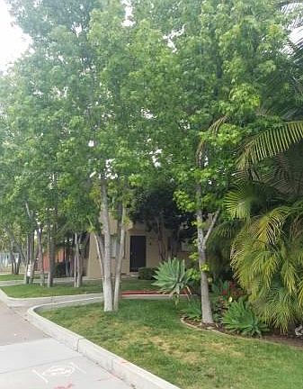 3rd image of 7936 La Mesa Blvd #B
