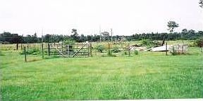 Back View Looking North