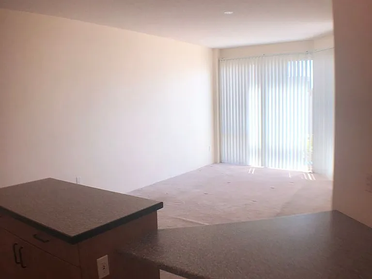 801 S King St #1011 — Photo 5