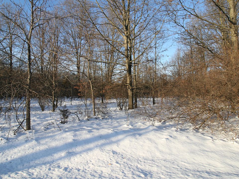 2nd image of PARCEL 3 Old Allegan Rd