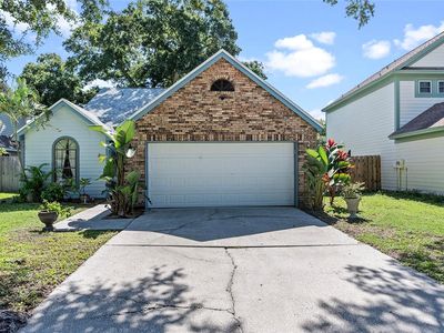 692 Greenglen Ln, Palm Harbor, FL, 34684