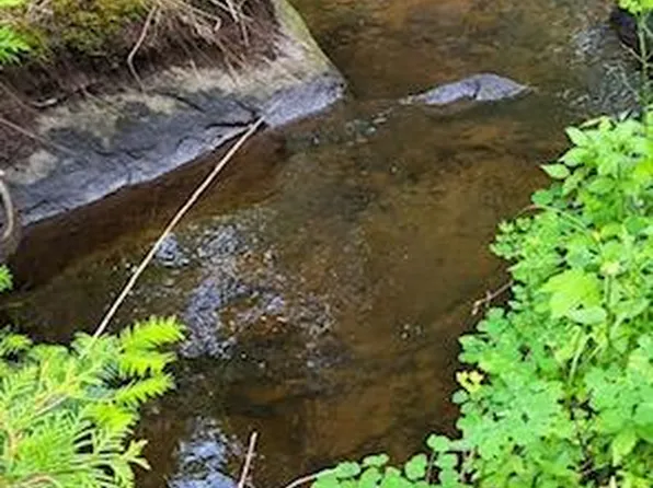 Lot 10 Morrison Brook Acres, Oakfield, ME 04763