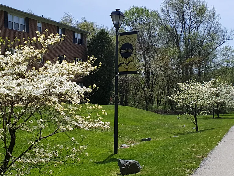 Brandywine Apartments — Photo 14