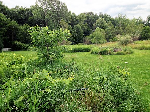 summer pasture