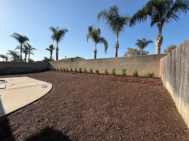 1312 E Cottonwood St — Photo 25