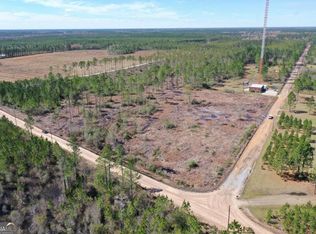 1379 Hasty Rd, Millwood, GA 31552