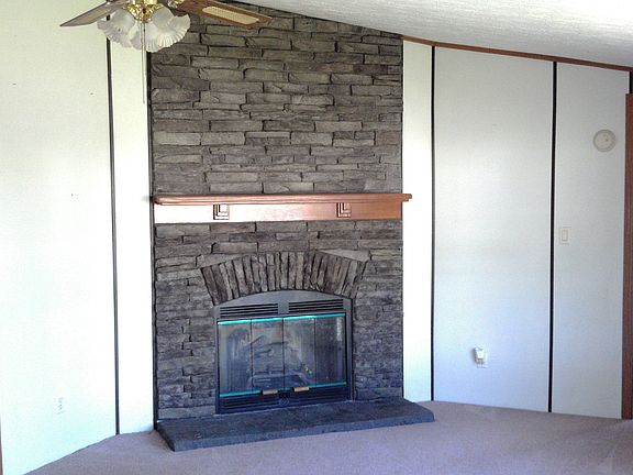 Living Room fireplace