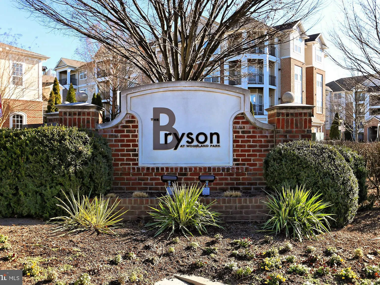 Bryson At Woodland Park — Photo 1