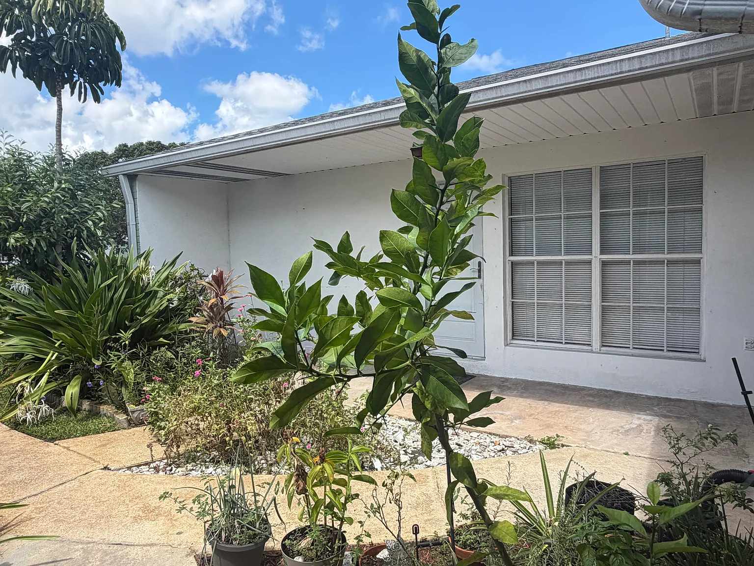 1 bed, 1.0 bath, 726 sqft, $1,500 — Photo 3