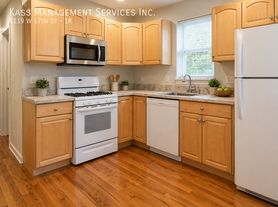 1119 W 17th St, Chicago, IL