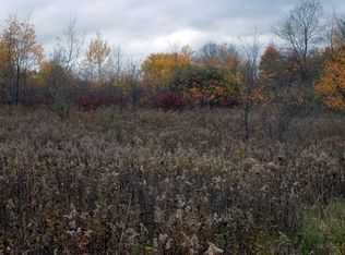 W Pike Rd, New Era, MI 49446