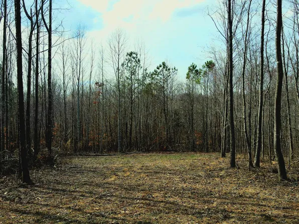 5585 Highway 104 N, Cedar Grove, TN 38321