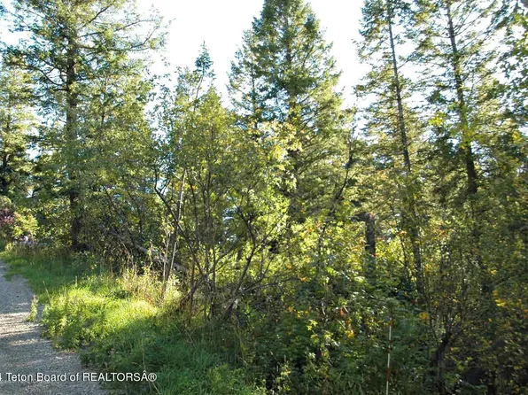 20 Cedar Creek Dr, Thayne, WY 83127