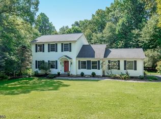 2 Gary Ct, Flanders, NJ 07836