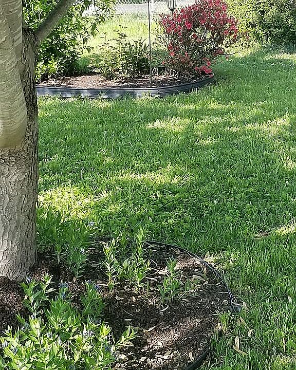 2nd image of 13223 Forge Cir