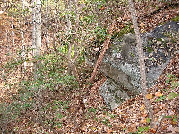 Lower Edge Near Creek