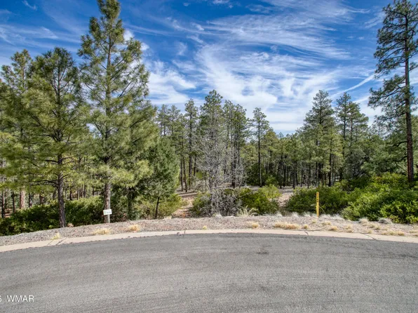 2245 S Columbine Ct, Show Low, AZ 85901