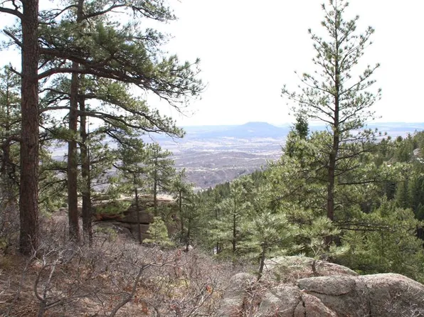 535 Madge Gulch Rd, Sedalia, CO 80135
