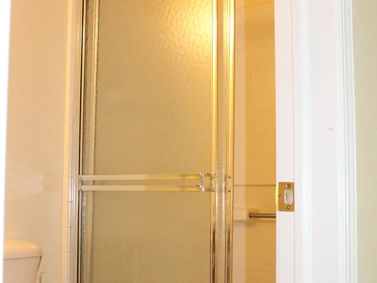 master bedroom's walk in shower