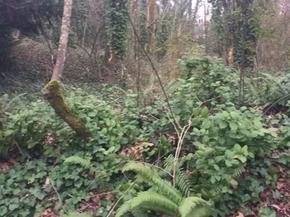 5236 W Mercer Way, Mercer Island, WA 98040