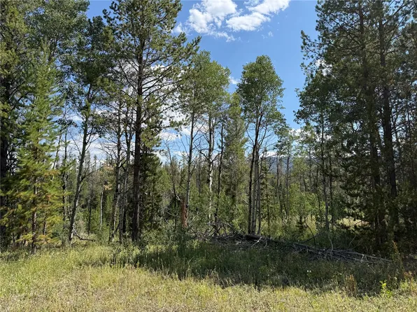 LOT 61 & 62 BIG WHIP WAY, Oak Creek, CO 80467