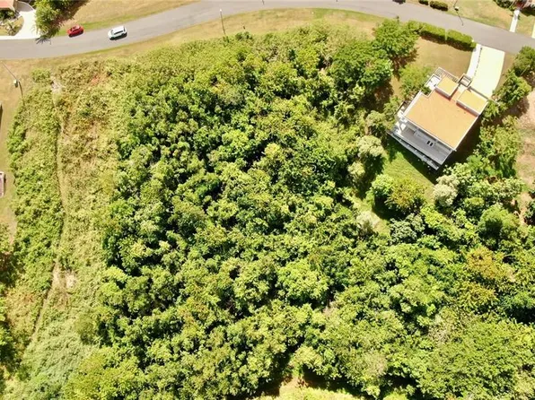PORT ROAD ROAD #17, HUMACAO, PR 00791