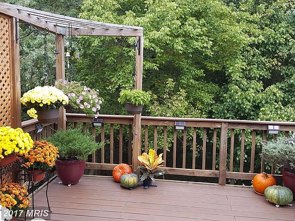 4th image of 13235 Autumn Mist Cir