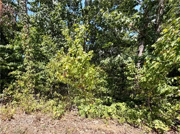 Glyndebourne Dr #24, Bella Vista, AR 72714