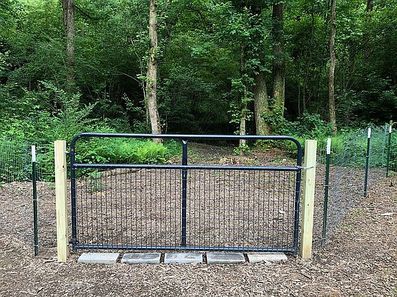 Access to our creek frontage