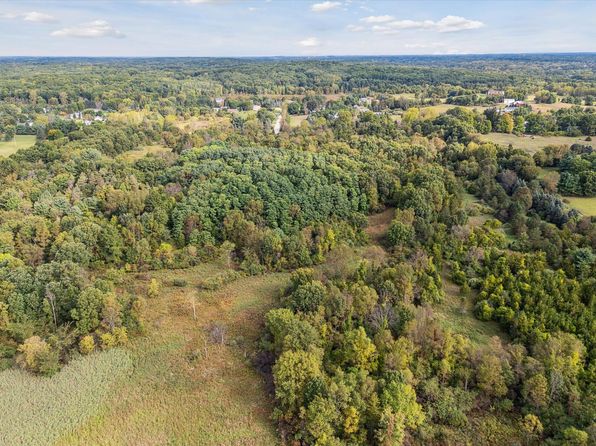 0 Swarthout Rd, Pinckney, MI 48169