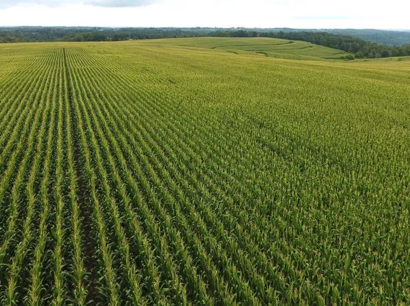 126.75 acres Booth Lane, Viola, WI 54664