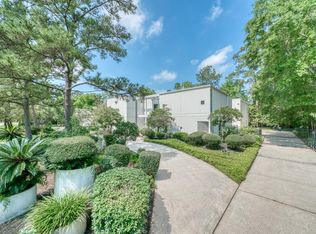 19 S Brokenfern Dr, Spring, TX 77380