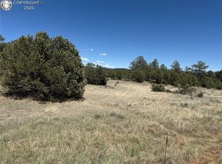 520 W View Rd, Cotopaxi, CO 81223