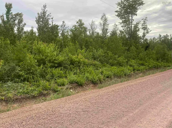 7 College Grant Rd, Pictou, NS B0K 1R0