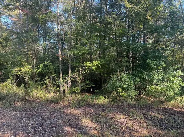 25397 Taylor Creek Rd, Amite, LA 70422