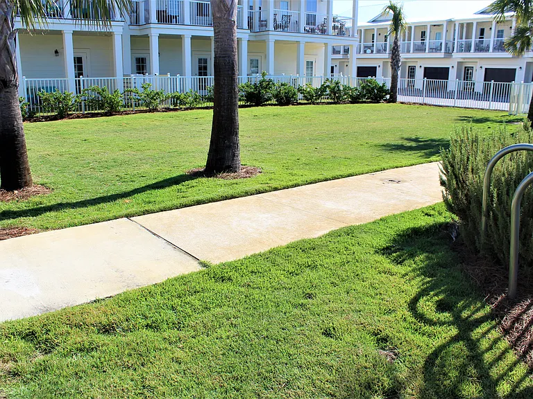 Common, gated grass area