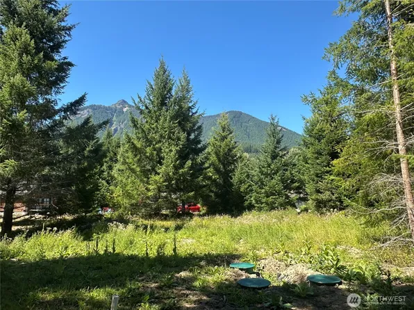 109 Jack Fir Court W, Packwood, WA 98361