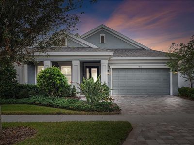 5810 Silver Sun Dr, Apollo Beach, FL, 33572