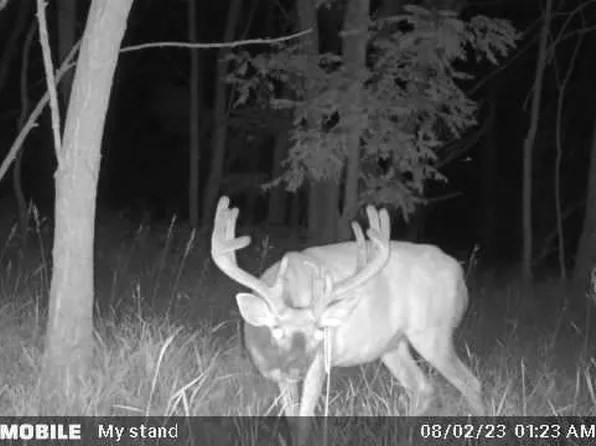 80 Acres 50th Street, Mauston, WI 53948