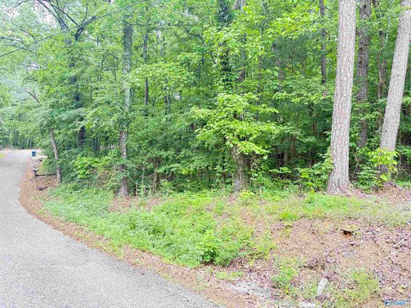 72 Holiday Shores Rd, Scottsboro, AL 35769